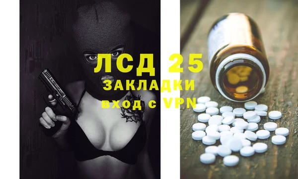 ПСИЛОЦИБИНОВЫЕ ГРИБЫ Алзамай