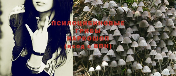 mix Алексеевка
