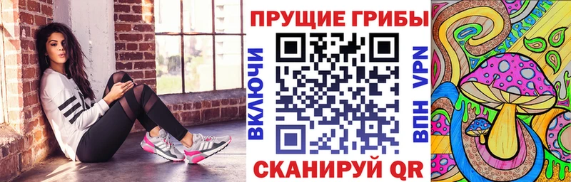 Галлюциногенные грибы Psilocybine cubensis  blacksprut как зайти  Выкса  сколько стоит 